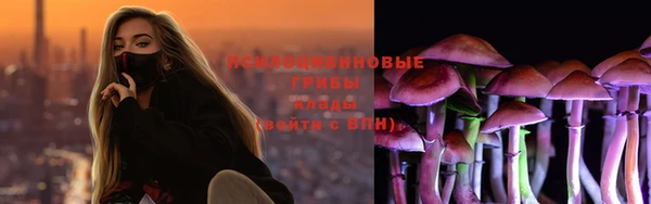 а пвп мука Вяземский