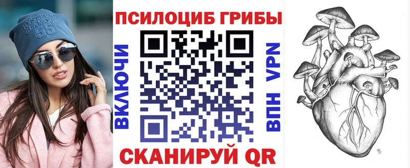 дарнет шоп  Черногорск  Галлюциногенные грибы GOLDEN TEACHER 